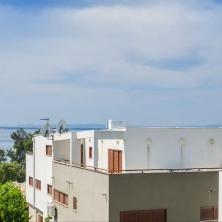 Apartmani Paradise Petrcane Bagian luar foto